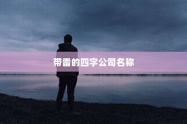 带雷的四字公司名称