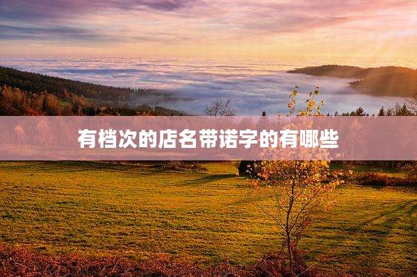 有档次的店名带诺字的有哪些