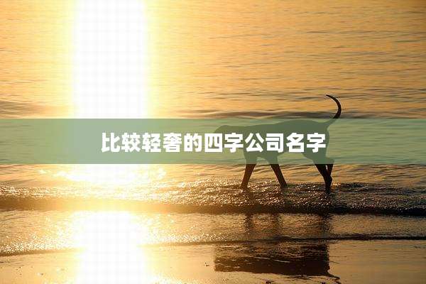 比较轻奢的四字公司名字
