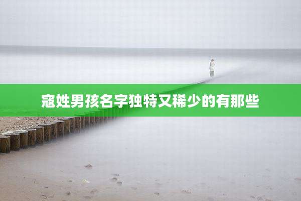 寇姓男孩名字独特又稀少的有那些