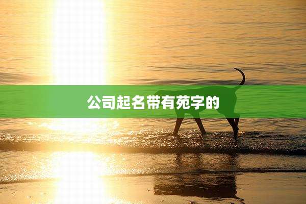 公司起名带有苑字的