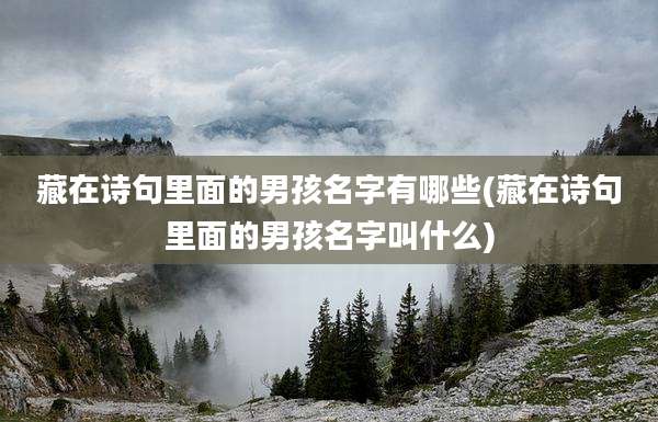 藏在诗句里面的男孩名字有哪些(藏在诗句里面的男孩名字叫什么)