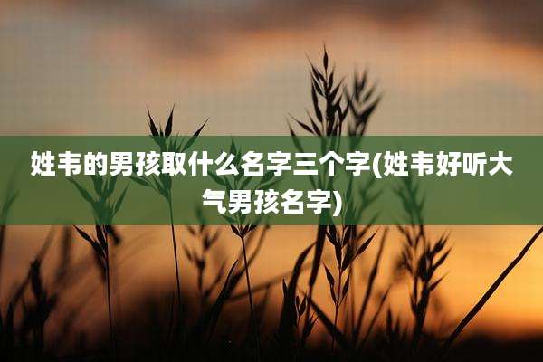 姓韦的男孩取什么名字三个字(姓韦好听大气男孩名字)