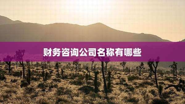 财务咨询公司名称有哪些