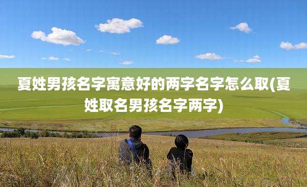 夏姓男孩名字寓意好的两字名字怎么取(夏姓取名男孩名字两字)