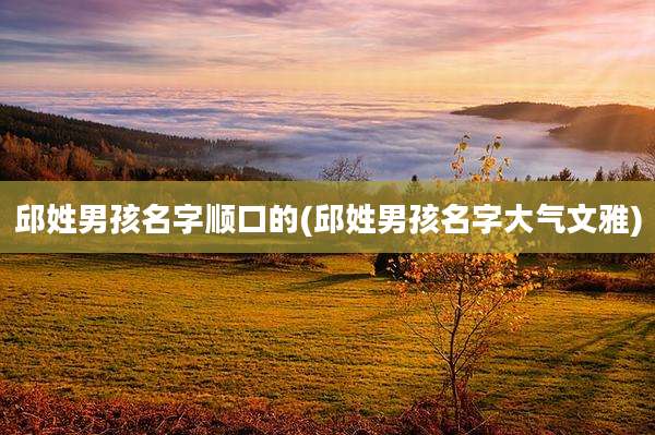 邱姓男孩名字顺口的(邱姓男孩名字大气文雅)