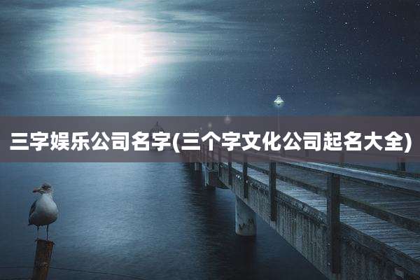 三字娱乐公司名字(三个字文化公司起名大全)