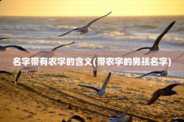 名字带有农字的含义(带农字的男孩名字)