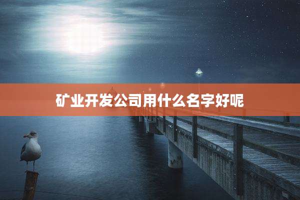 矿业开发公司用什么名字好呢