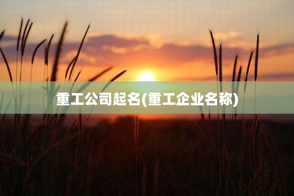 重工公司起名(重工企业名称)