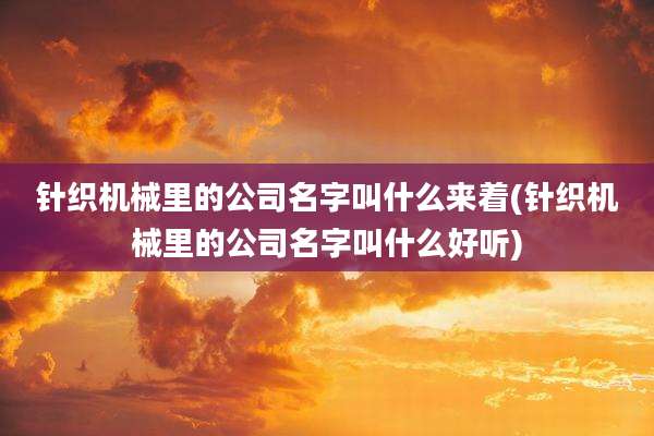 针织机械里的公司名字叫什么来着(针织机械里的公司名字叫什么好听)