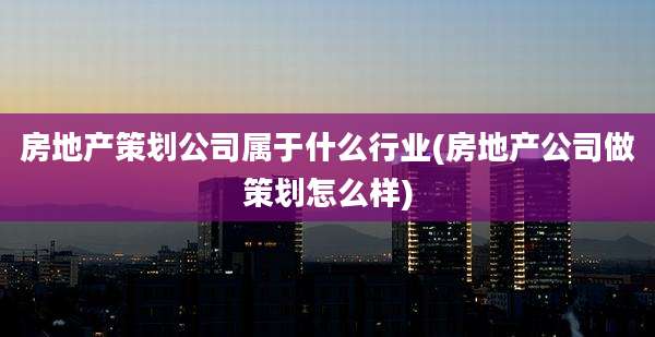 房地产策划公司属于什么行业(房地产公司做策划怎么样)