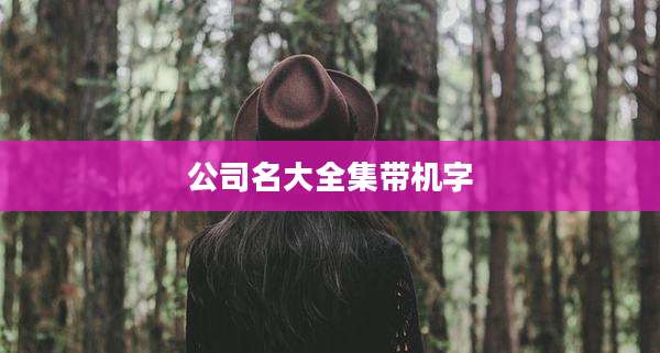 公司名大全集带机字