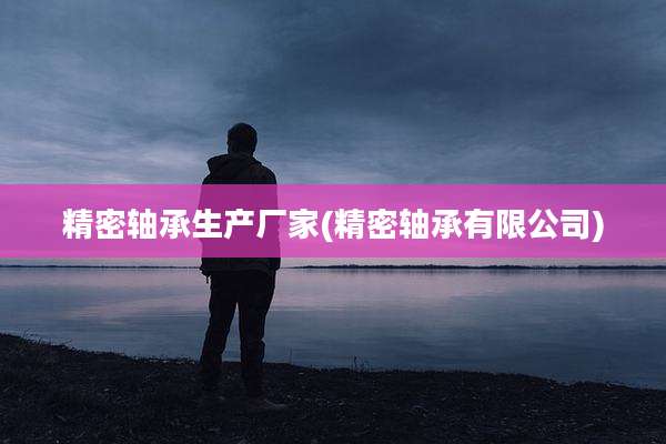精密轴承生产厂家(精密轴承有限公司)