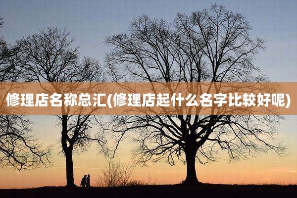 修理店名称总汇(修理店起什么名字比较好呢)