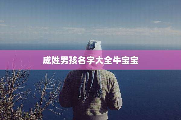 成姓男孩名字大全牛宝宝