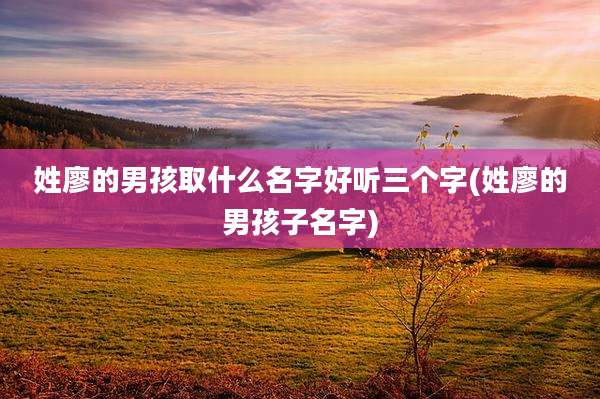 姓廖的男孩取什么名字好听三个字(姓廖的男孩子名字)