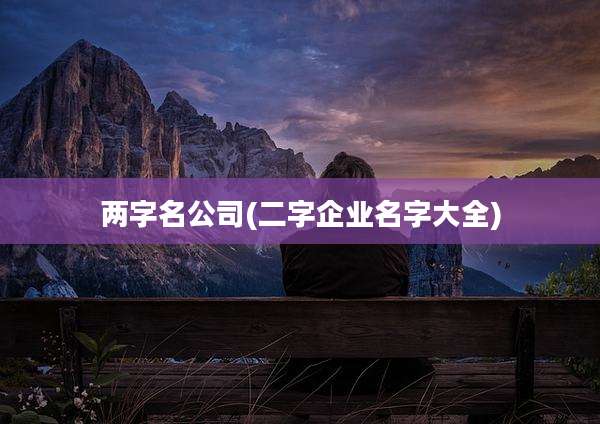 两字名公司(二字企业名字大全)