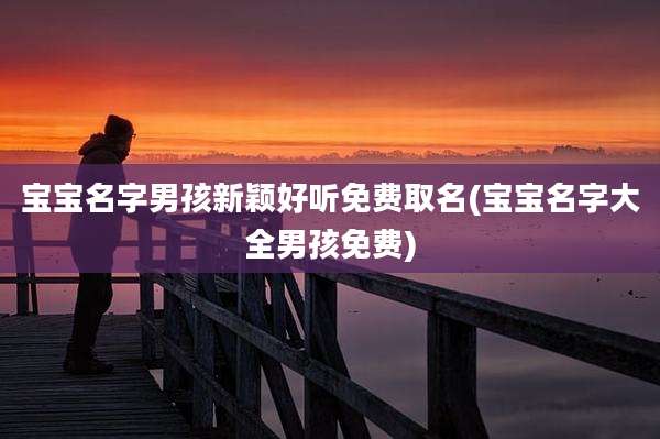 宝宝名字男孩新颖好听免费取名(宝宝名字大全男孩免费)