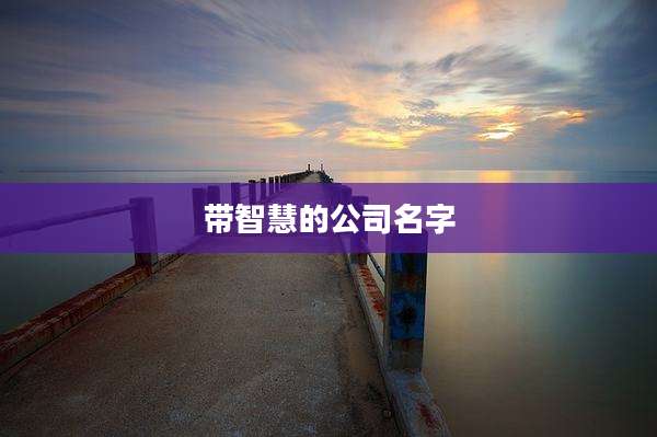 带智慧的公司名字