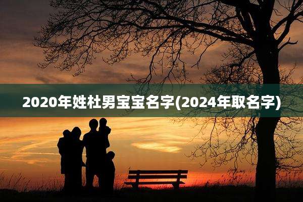 2020年姓杜男宝宝名字(2024年取名字)