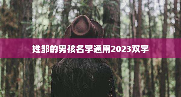 姓邹的男孩名字通用2023双字