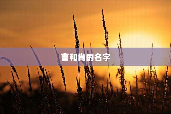 曹和肖的名字