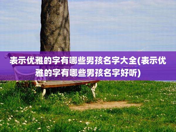 表示优雅的字有哪些男孩名字大全(表示优雅的字有哪些男孩名字好听)
