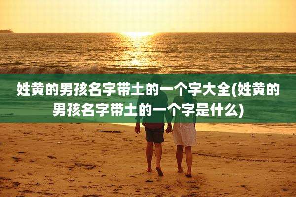 姓黄的男孩名字带土的一个字大全(姓黄的男孩名字带土的一个字是什么)