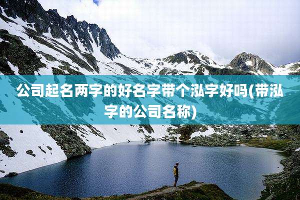 公司起名两字的好名字带个泓字好吗(带泓字的公司名称)