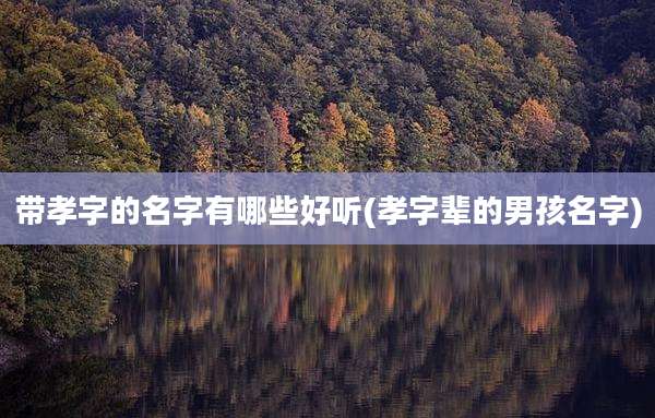 带孝字的名字有哪些好听(孝字辈的男孩名字)