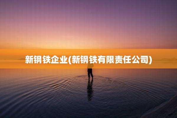 新钢铁企业(新钢铁有限责任公司)