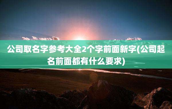 公司取名字参考大全2个字前面新字(公司起名前面都有什么要求)