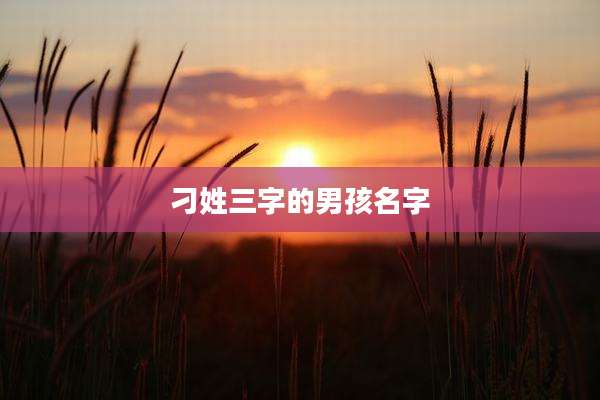 刁姓三字的男孩名字