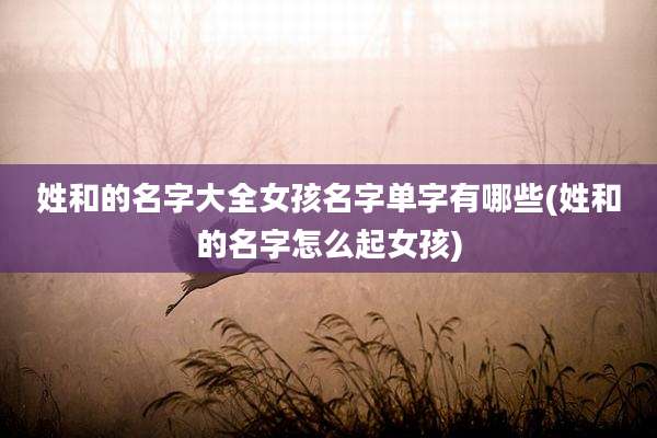 姓和的名字大全女孩名字单字有哪些(姓和的名字怎么起女孩)