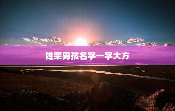 姓栾男孩名字一字大方