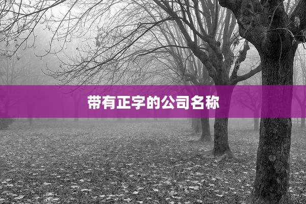 带有正字的公司名称