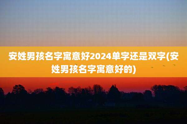 安姓男孩名字寓意好2024单字还是双字(安姓男孩名字寓意好的)