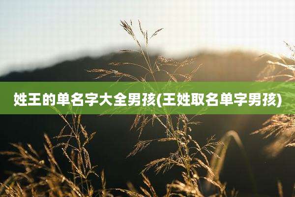 姓王的单名字大全男孩(王姓取名单字男孩)