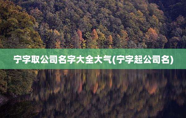 宁字取公司名字大全大气(宁字起公司名)