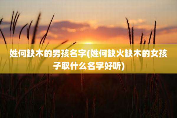 姓何缺木的男孩名字(姓何缺火缺木的女孩子取什么名字好听)