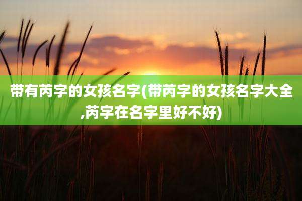 带有芮字的女孩名字(带芮字的女孩名字大全,芮字在名字里好不好)