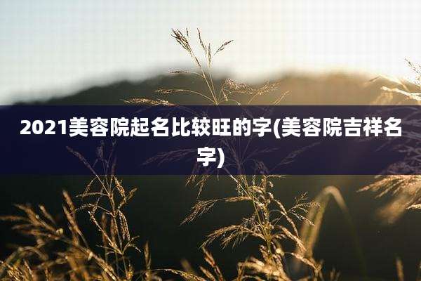 2021美容院起名比较旺的字(美容院吉祥名字)