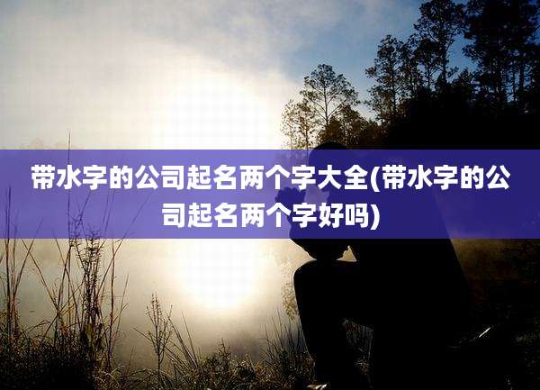 带水字的公司起名两个字大全(带水字的公司起名两个字好吗)
