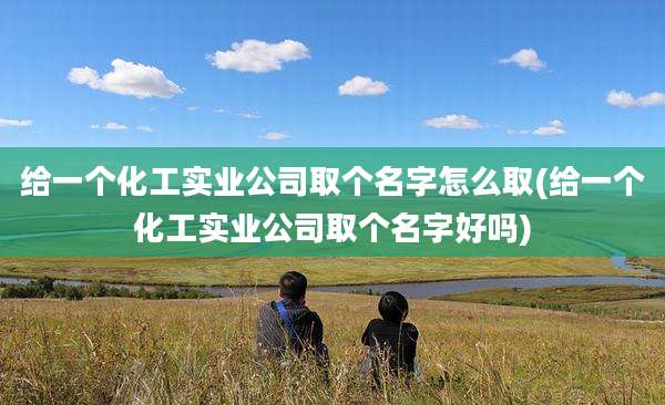 给一个化工实业公司取个名字怎么取(给一个化工实业公司取个名字好吗)
