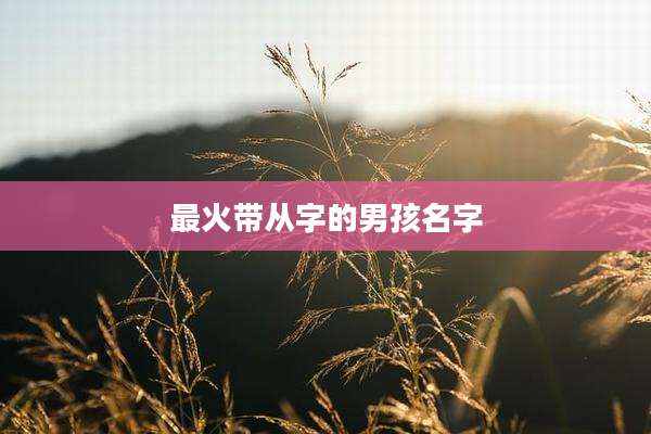 最火带从字的男孩名字
