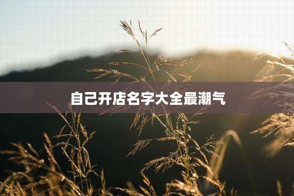 自己开店名字大全最潮气