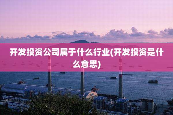 开发投资公司属于什么行业(开发投资是什么意思)