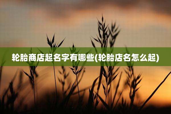 轮胎商店起名字有哪些(轮胎店名怎么起)
