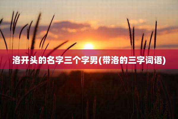 洛开头的名字三个字男(带洛的三字词语)